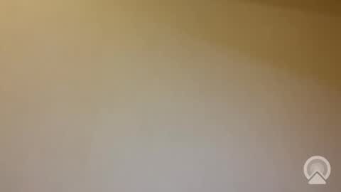 tanelure online show from 01.31.26