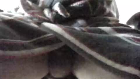 Snapshot of tap_b chatting on 02.16.25 Patrick online show from 02.16.25