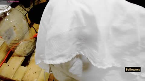 instagram Gattitasha online show from 02.26.25