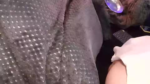 Jean pool online show from 12.17.25