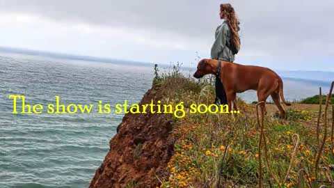 TATUM  ALL MY LINKS  online show from 11.01.25