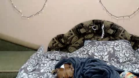 Taya online show from 01.05.26