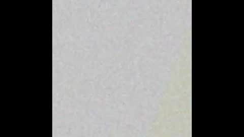 Tayra online show from 03.23.26