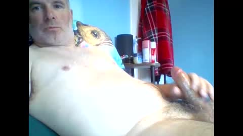 tazo78 online show from 11.09.25