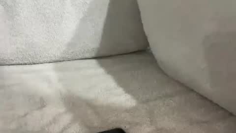 tbaexox online show from 11.16.25