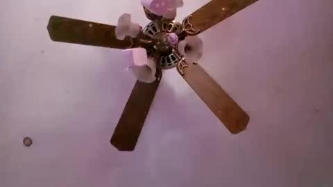 td42020 online show from 09.16.25