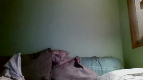 Teak online show from 11.17.25