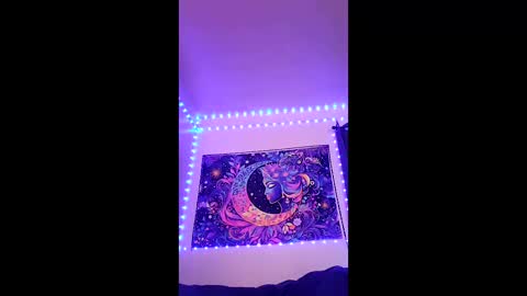 tedestep2 online show from 04.17.26