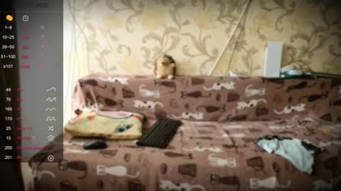 Ada  online show from 01.10.26