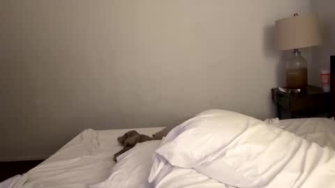 Snapshot of tennman6086 chatting on 02.04.25 Tennman online show from 02.04.25