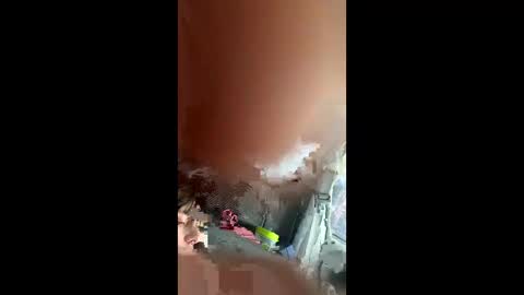 Snapshot of teslajustdoit chatting on 03.03.26 teslajustdoit online show from 03.03.26