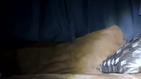 MauiMinded808 online show from 01.29.25