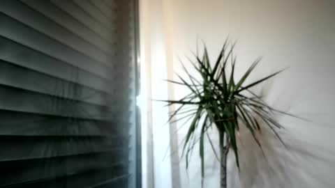 Snapshot of tger2024 chatting on 11.03.25 tger2024 online show from 11.03.25