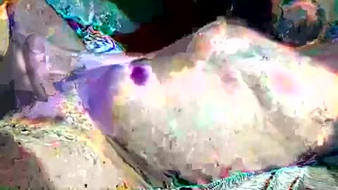 Snapshot of th3darksideofthemoon chatting on 02.26.25 th3darksideofthemoon online show from 02.26.25