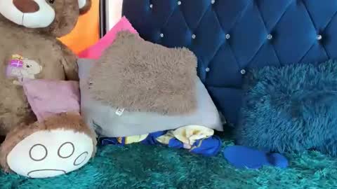 thania      sometimes in the company of Alan and Maria online show from 01.11.26