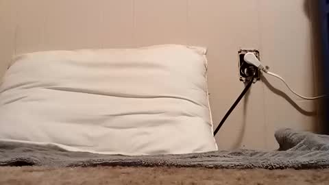 thatb1 online show from 11.05.25