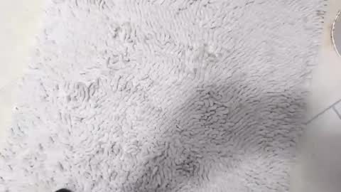 TheOne online show from 04.08.26