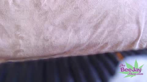 Snapshot of thebeejayshow chatting on 12.04.24 TheBeeJayShow online show from 12.04.24