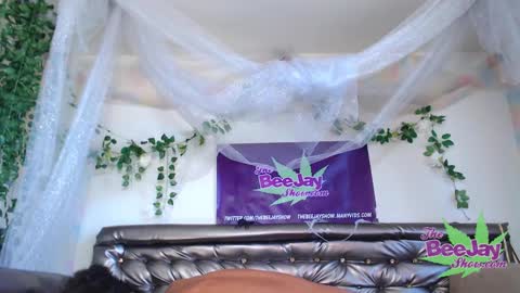 Snapshot of thebeejayshow chatting on 12.04.24 TheBeeJayShow online show from 12.04.24