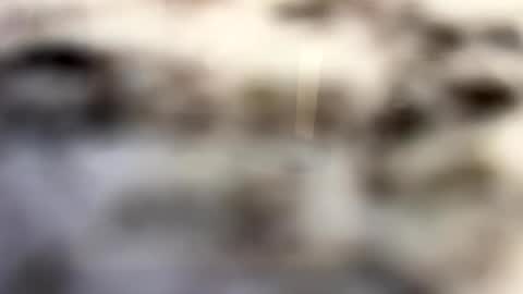 thebodythefeet online show from 01.04.25