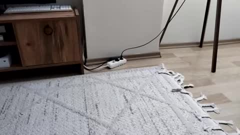 Snapshot of thefckngcber chatting on 09.28.25 thefckngcber online show from 09.28.25