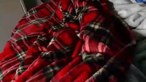 Liam online show from 03.23.26