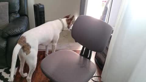 Snapshot of thekodyy chatting on 11.15.25 thekodyy online show from 11.15.25