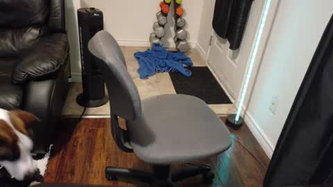 Snapshot of thekodyy chatting on 11.21.25 thekodyy online show from 11.21.25