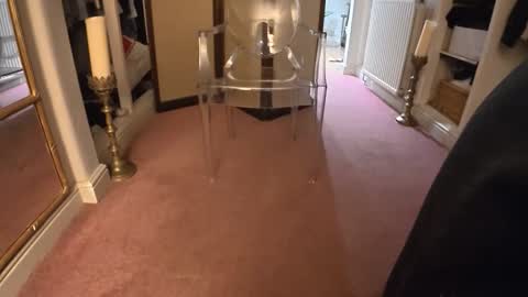 theladyduchess online show from 02.07.26