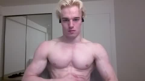 thelevimeyers online show from 08.08.26