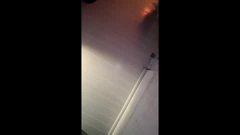 theonlyboi43ver online show from 12.27.24