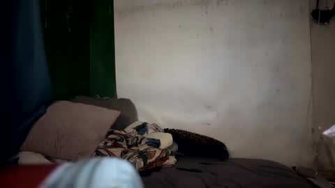 theonlyboi43ver online show from 01.10.25