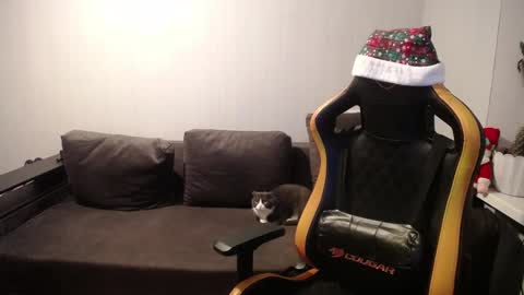 Nick   online show from 12.27.24