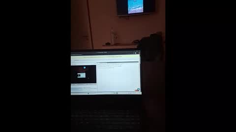 Snapshot of thesporttype chatting on 11.01.25 thesporttype online show from 11.01.25