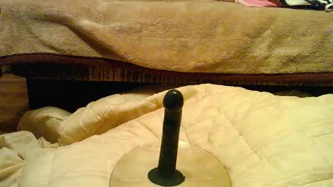 Thongsandstocking online show from 12.01.25