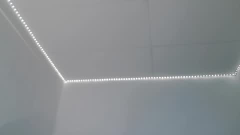 thonyy online show from 03.02.25