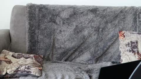 Sebastian online show from 01.08.25