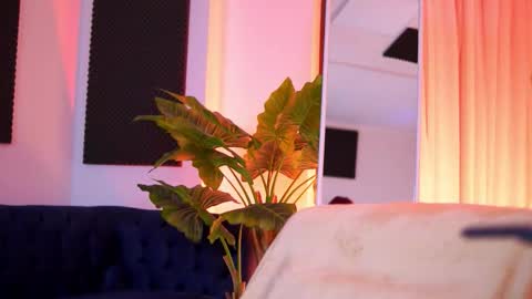 Tiff online show from 03.01.26