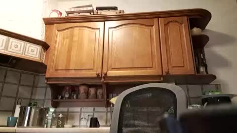 tigermatt76e online show from 03.01.26