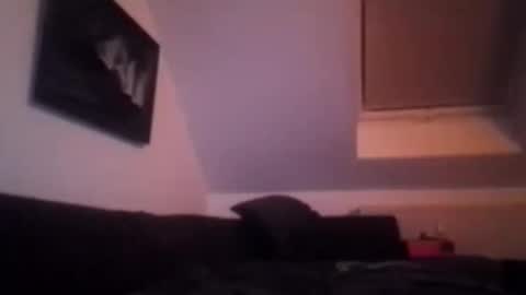 tigertrance online show from 11.17.25