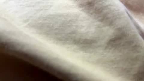 Snapshot of timber2255 chatting on 10.31.25 timber2255 online show from 10.31.25