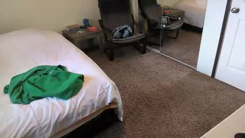 timberelove online show from 04.16.26