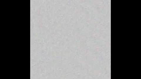 TimLooking online show from 02.17.25