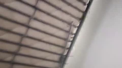 timmy808808 online show from 01.03.25