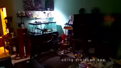 tinalover4u2 online show from 11.17.25