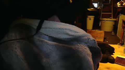 Snapshot of tinkertrain420 chatting on 12.02.24 tinkertrain420 online show from 12.02.24