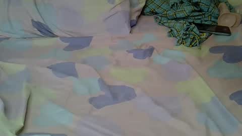 Snapshot of tinny_hub chatting on 11.29.25 tinny_hub online show from 11.29.25