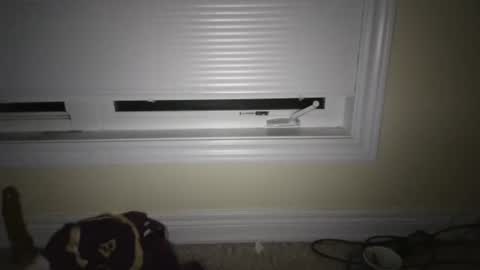 tj526316275 online show from 04.23.26