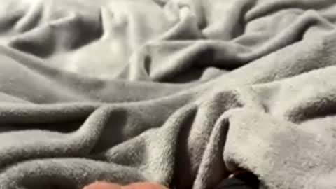 Snapshot of tmue chatting on 02.27.26 tmue online show from 02.27.26