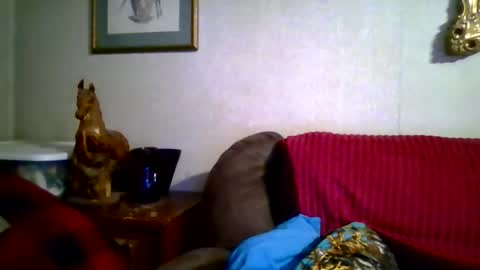 Vols online show from 01.17.26